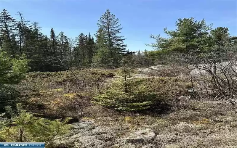 TBD Kabetogama Lake Land, Kabetogama, Minnesota 56669, ,Waterfront,Kabetogama Lake Land,146853