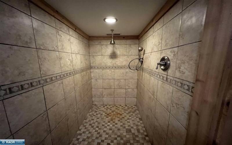 Downstairs Shower