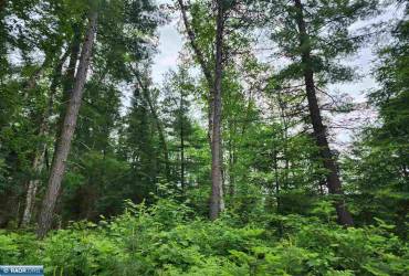 TBD County Rd 52, Bigfork, Minnesota 56628, ,Waterfront,County Rd 52,146965