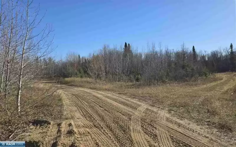 TBD 40 Acres County Rd 119, International Falls, Minnesota 56649, ,Residential,County Rd 119,147731