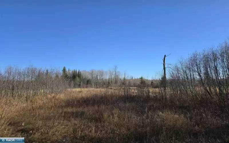 TBD 40 Acres County Rd 119, International Falls, Minnesota 56649, ,Residential,County Rd 119,147731