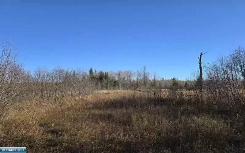 TBD 40 Acres County Rd 119, International Falls, Minnesota 56649, ,Residential,County Rd 119,147731